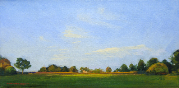 Gwynyd Preserve afternoon light